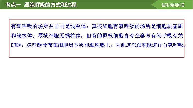 2025届高三生物一轮复习课件第11讲:细胞呼吸的方式和过程06