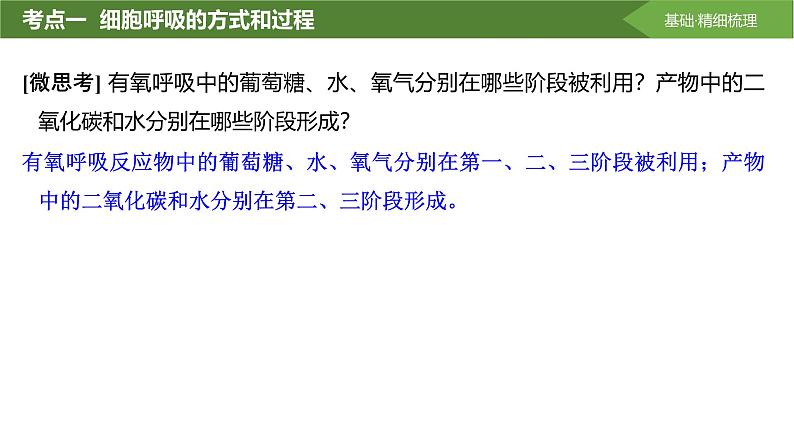 2025届高三生物一轮复习课件第11讲:细胞呼吸的方式和过程07