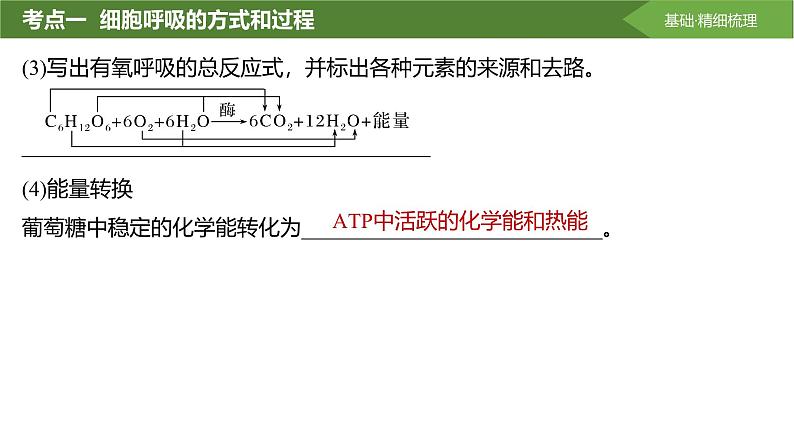 2025届高三生物一轮复习课件第11讲:细胞呼吸的方式和过程08