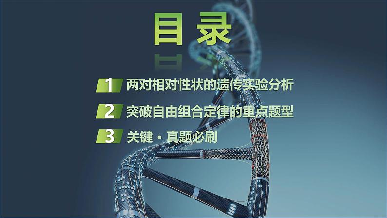2025届高三生物一轮复习课件第23讲:基因的自由组合定律课件第2页