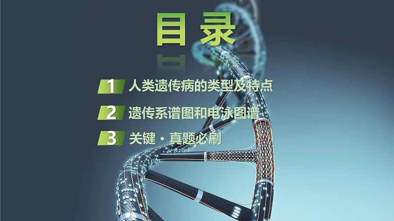 2025届高三生物一轮复习课件第26讲:人类遗传病及遗传系谱图分析第2页