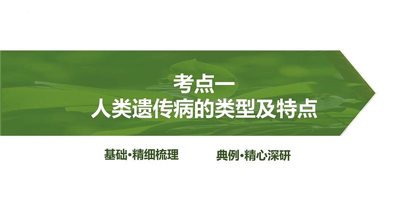 2025届高三生物一轮复习课件第26讲:人类遗传病及遗传系谱图分析第3页