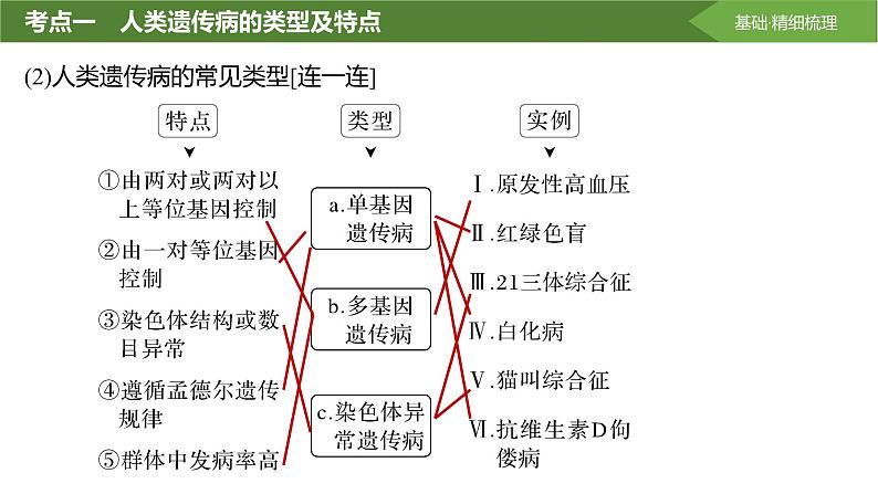 2025届高三生物一轮复习课件第26讲:人类遗传病及遗传系谱图分析第5页