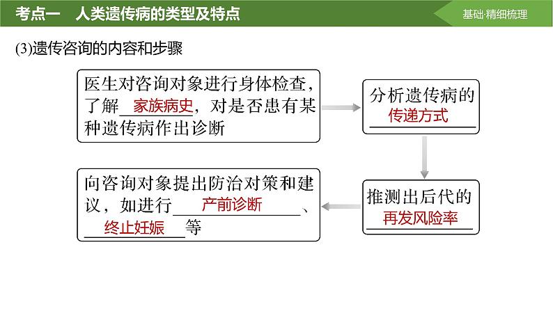 2025届高三生物一轮复习课件第26讲:人类遗传病及遗传系谱图分析第8页