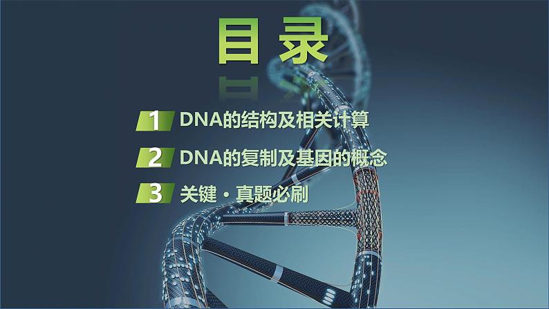 2025届高三生物一轮复习课件第28讲:DNA的结构、复制及基因的本质第2页