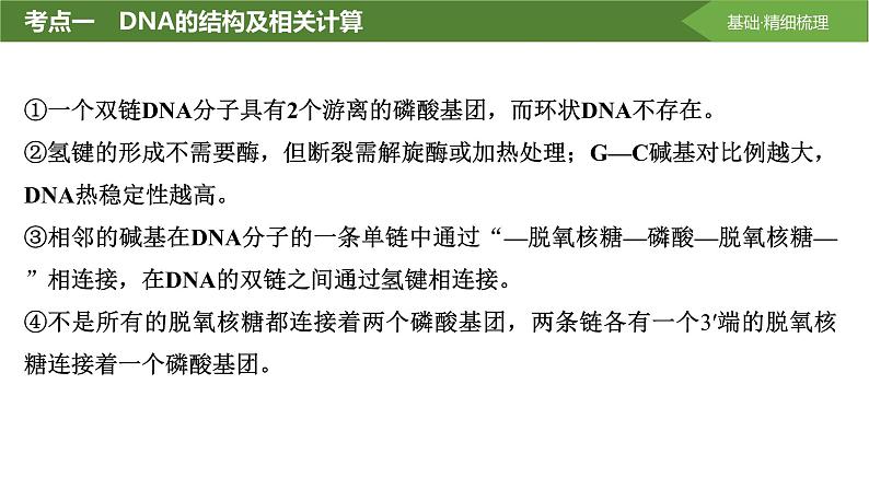 2025届高三生物一轮复习课件第28讲:DNA的结构、复制及基因的本质第5页