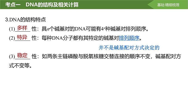 2025届高三生物一轮复习课件第28讲:DNA的结构、复制及基因的本质第8页