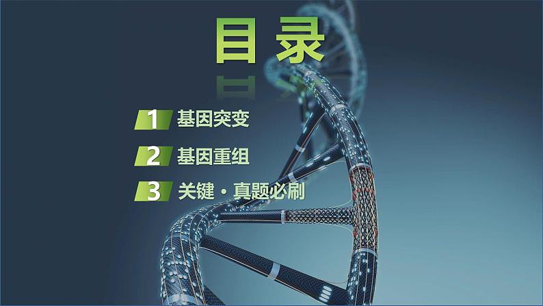 2025届高三生物一轮复习课件第30讲:基因突变和基因重组第2页