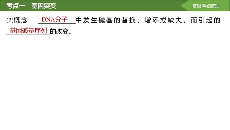 2025届高三生物一轮复习课件第30讲:基因突变和基因重组第5页