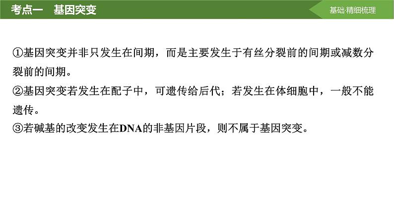 2025届高三生物一轮复习课件第30讲:基因突变和基因重组第6页