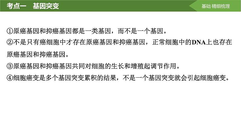 2025届高三生物一轮复习课件第30讲:基因突变和基因重组第8页