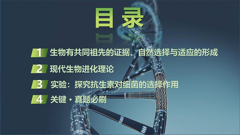 2025届高三生物一轮复习课件第32讲:生物的进化第2页