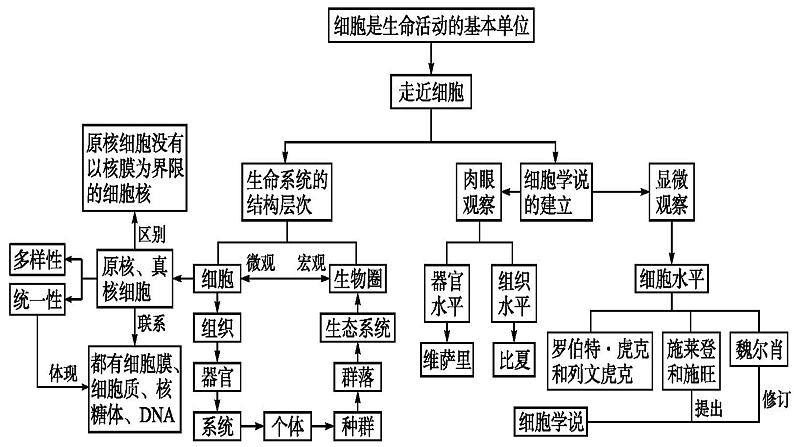 2025届高三生物一轮复习课件走近细胞第2页