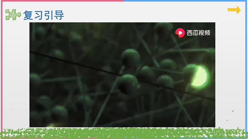 2025届高三生物一轮复习课件走近细胞第5页
