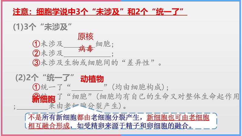 2025届高三生物一轮复习课件走近细胞第8页
