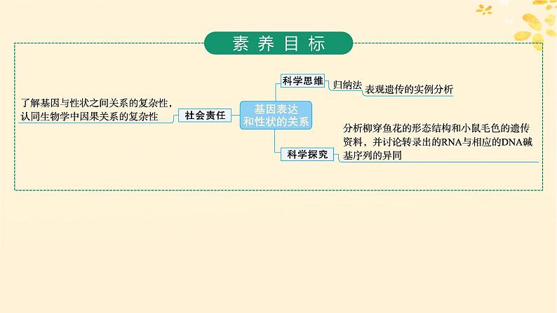 2025届高考生物一轮总复习第6单元遗传的分子基础第26讲基因表达和性状的关系课件第2页