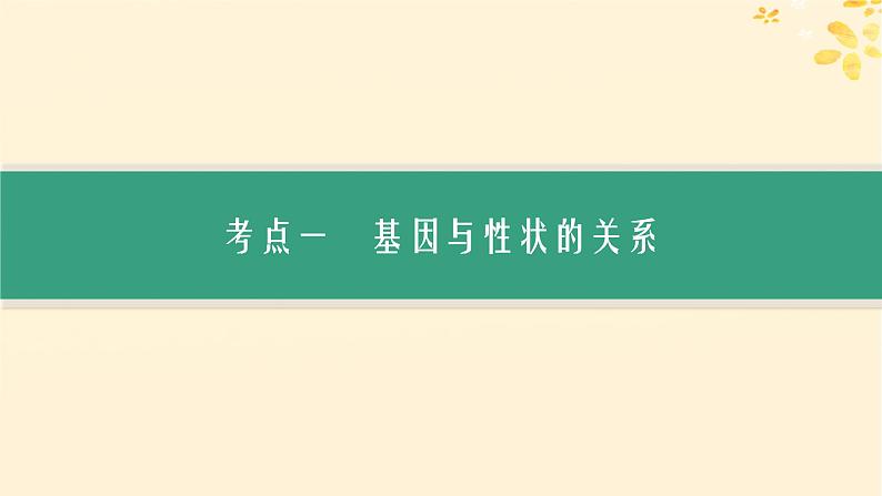 2025届高考生物一轮总复习第6单元遗传的分子基础第26讲基因表达和性状的关系课件第3页
