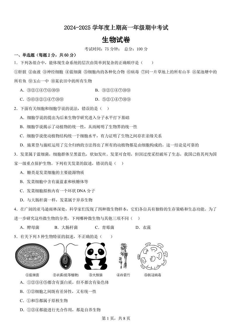 重庆市南坪中学校2024-2025学年高一上学期期中考试生物试题01