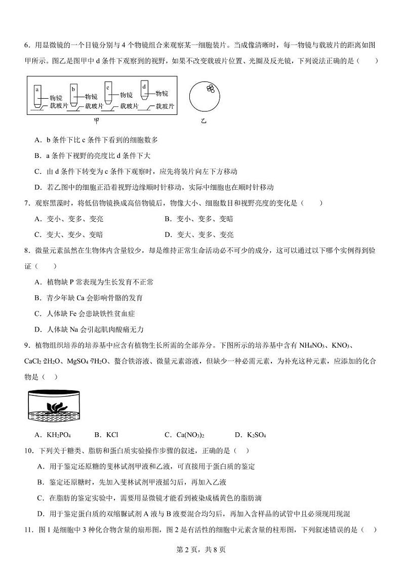 重庆市南坪中学校2024-2025学年高一上学期期中考试生物试题02