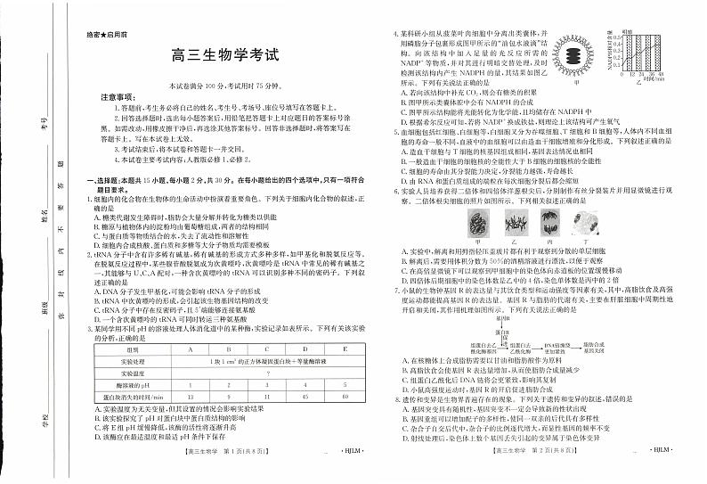 内蒙古赤峰市名校2024-2025学年高三上学期期中联考生物试题01