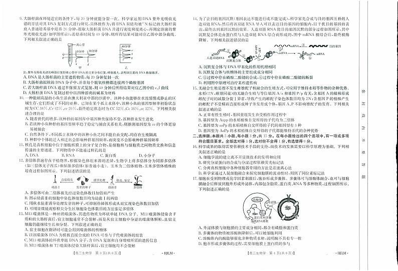 内蒙古赤峰市名校2024-2025学年高三上学期期中联考生物试题02