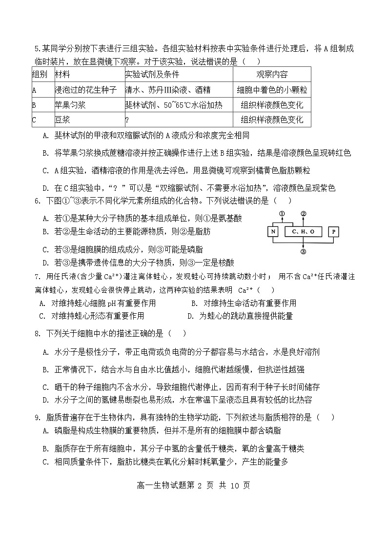 山东省济南第一中学2024~2025学年高一上学期期中考试生物试题第2页