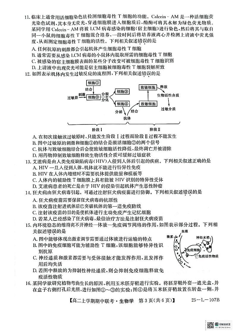 生物第3页