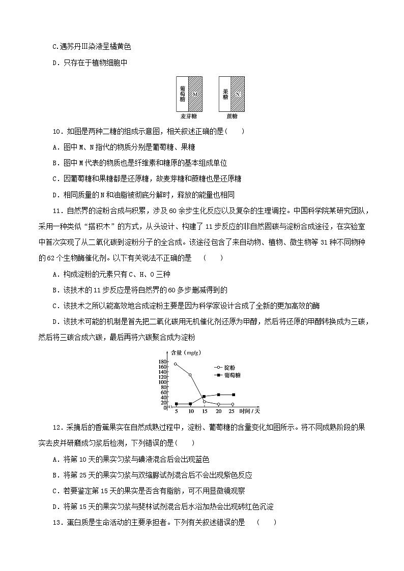 甘肃省武威市民勤县第一中学2024-2025学年高三上学期11月期中生物试题03