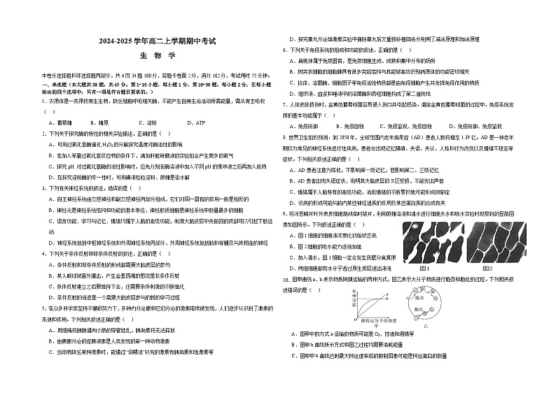 广东省广州第六中学2024-2025学年高二上学期期中考试生物试题第1页