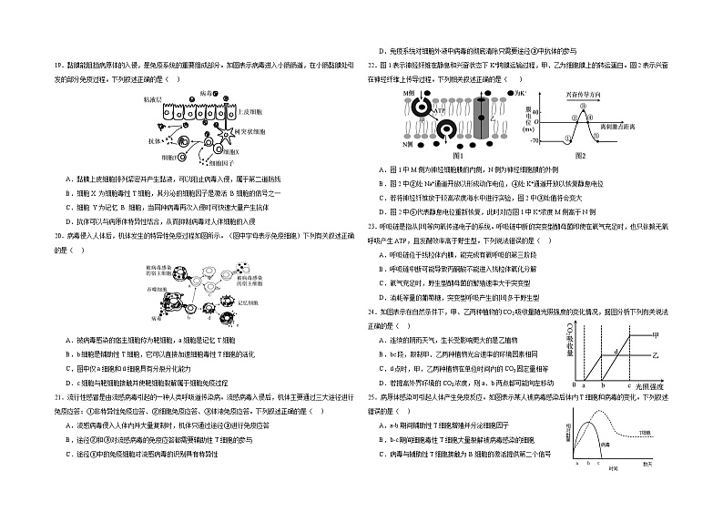 广东省广州第六中学2024-2025学年高二上学期期中考试生物试题第3页