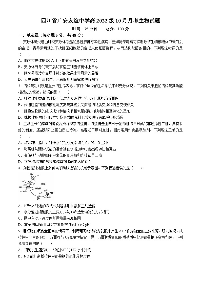 四川省广安友谊中学2024-2025学年高三上学期10月月考生物试题01