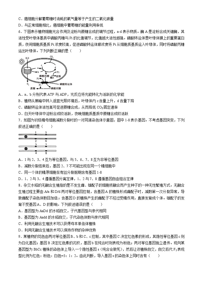 四川省广安友谊中学2024-2025学年高三上学期10月月考生物试题02