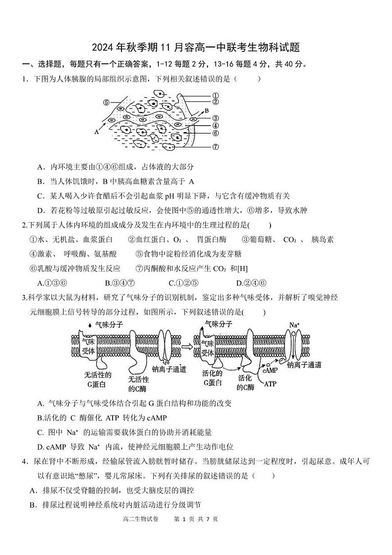 广西壮族自治区玉林市2024-2025学年高二上学期11月联考生物试题第1页