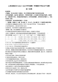 山东省烟台市2024-2025学年高二上学期期中考试生物试卷（Word版附答案）