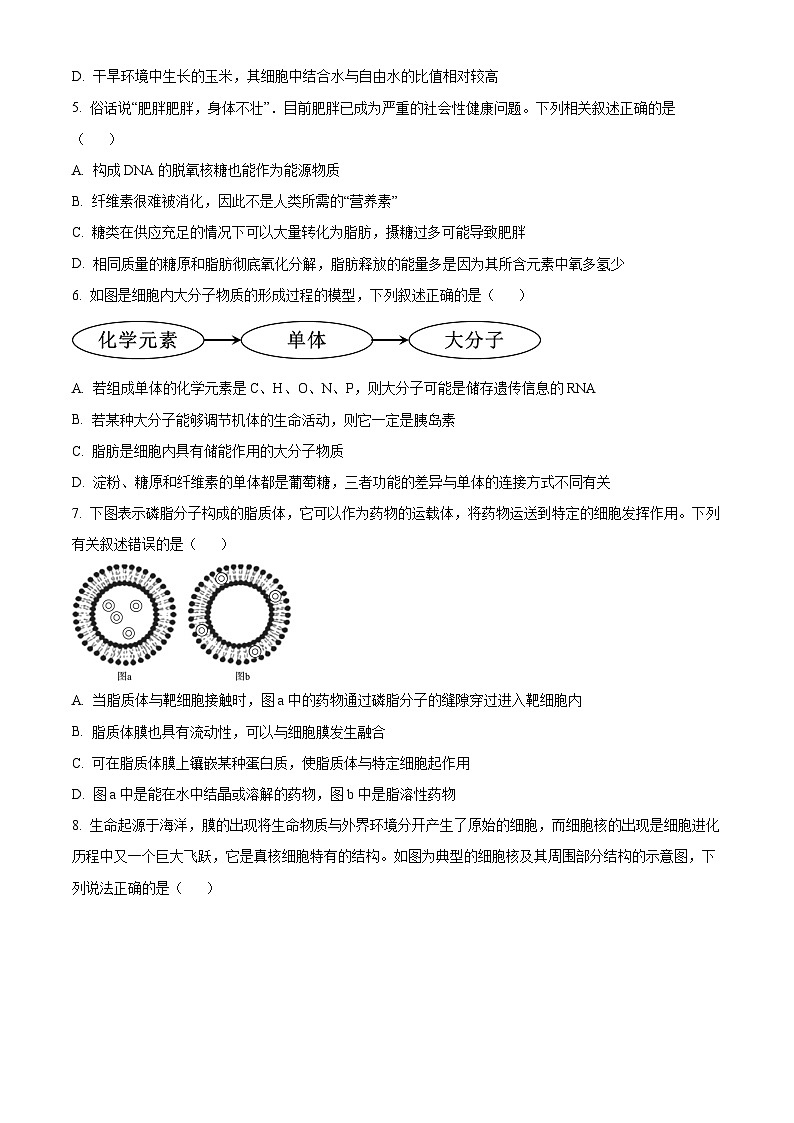 广东省清远市九校2024-2025学年高一上学期11月期中联考生物试卷(Word版附解析)02