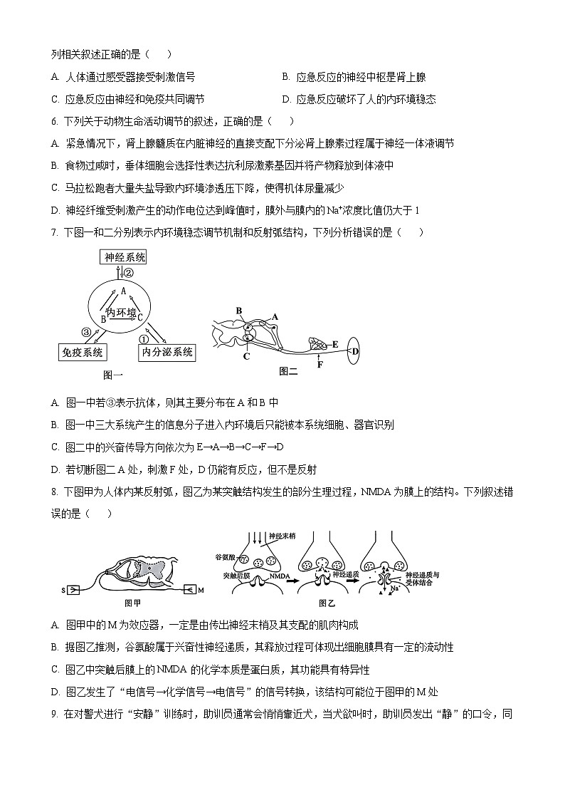 四川省绵阳市三台县2024-2025学年高二上学期期中考试生物试题 Word版无答案第2页
