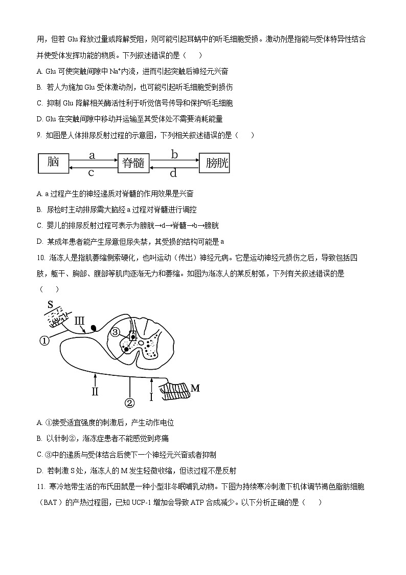 江西省景德镇市2024-2025学年高二上学期11月期中生物试题  Word版无答案第3页