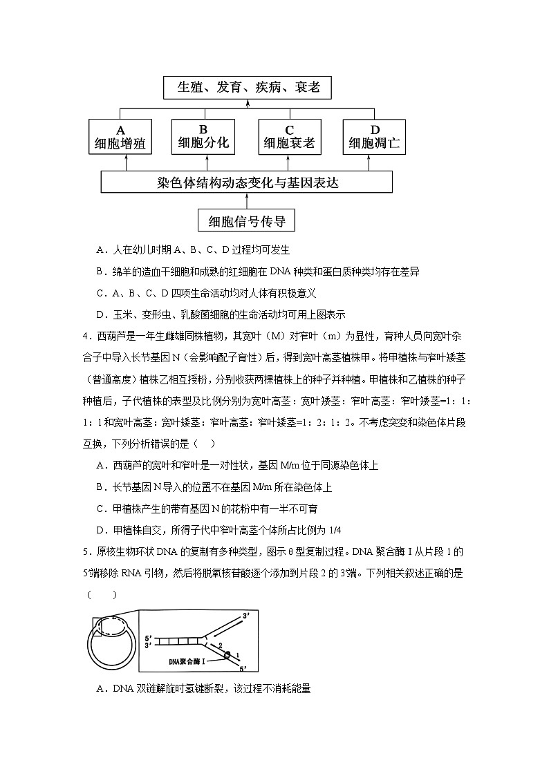 江西省上饶市婺源天佑中学2024-2025学年高三上学期11月测试生物试题第2页