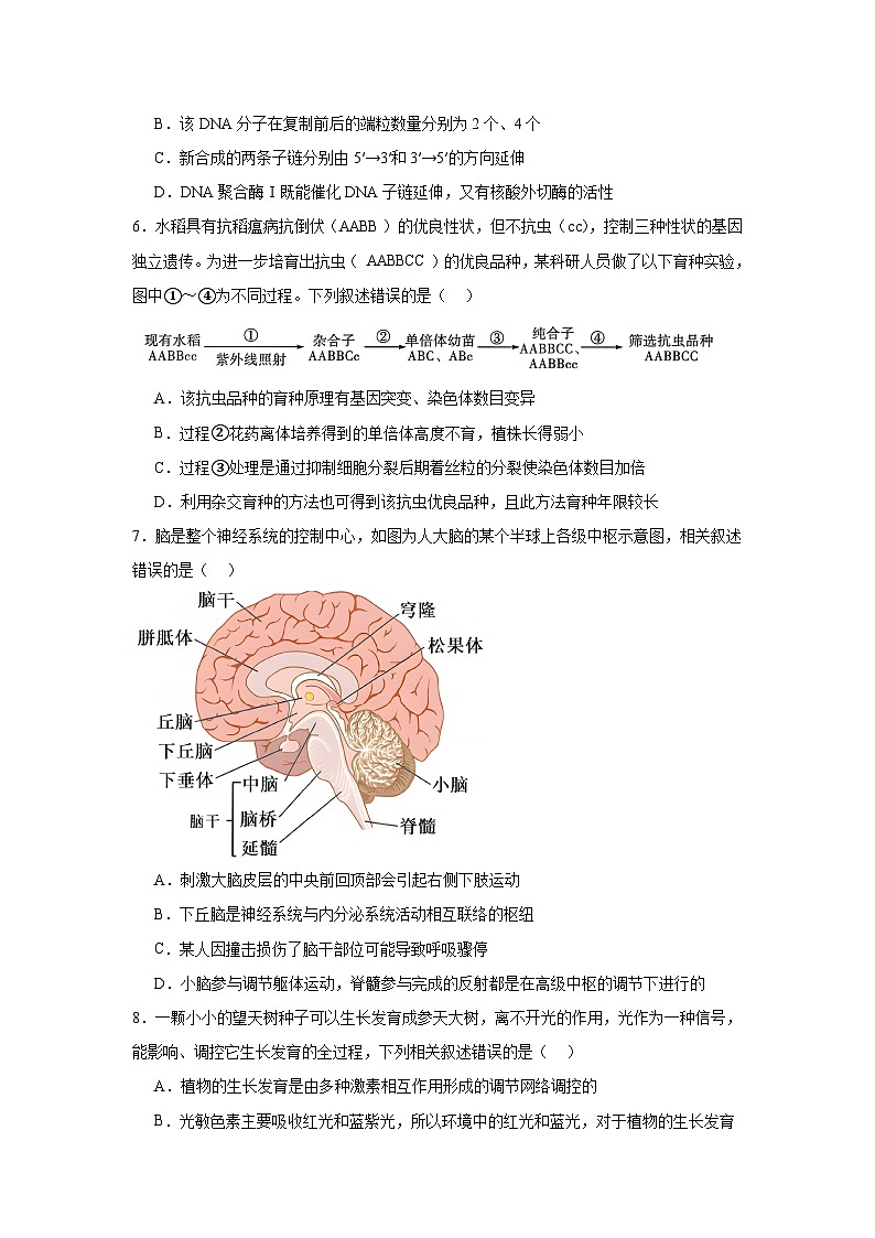江西省上饶市婺源天佑中学2024-2025学年高三上学期11月测试生物试题第3页