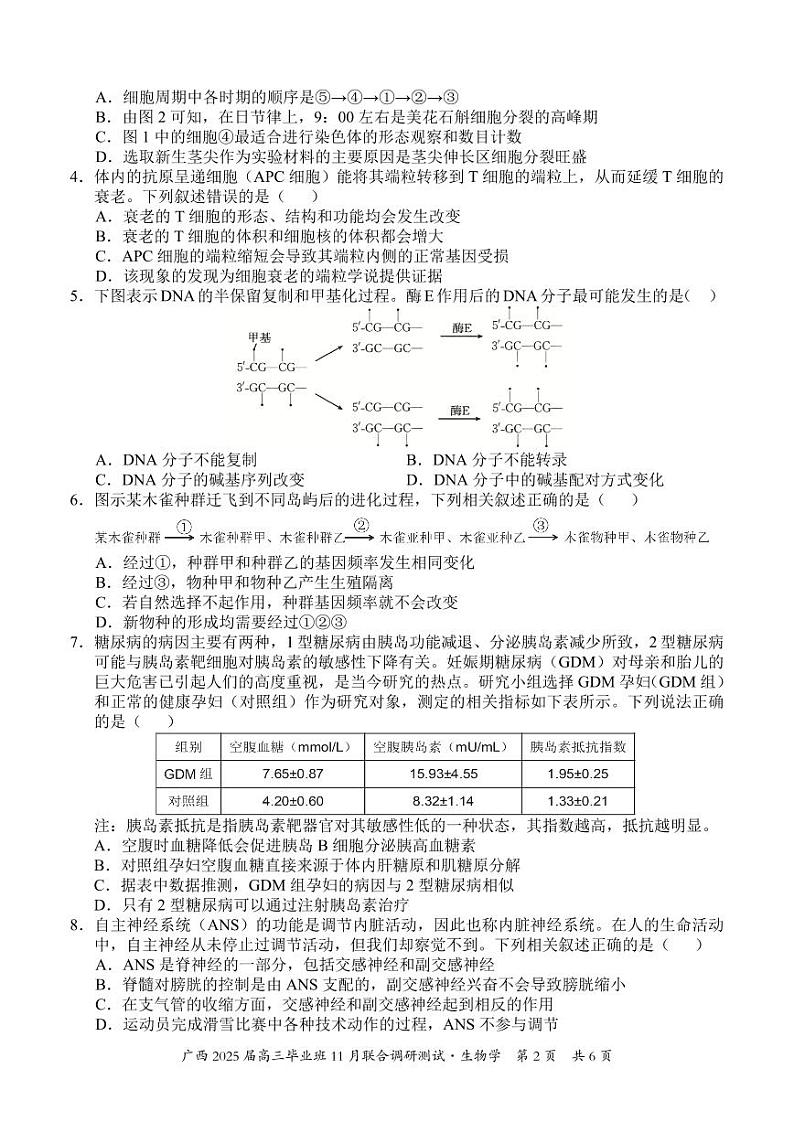 2025届广西壮族自治区毕业班高三上学期11月联考生物试题第2页