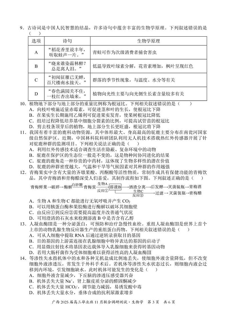 2025届广西壮族自治区毕业班高三上学期11月联考生物试题第3页