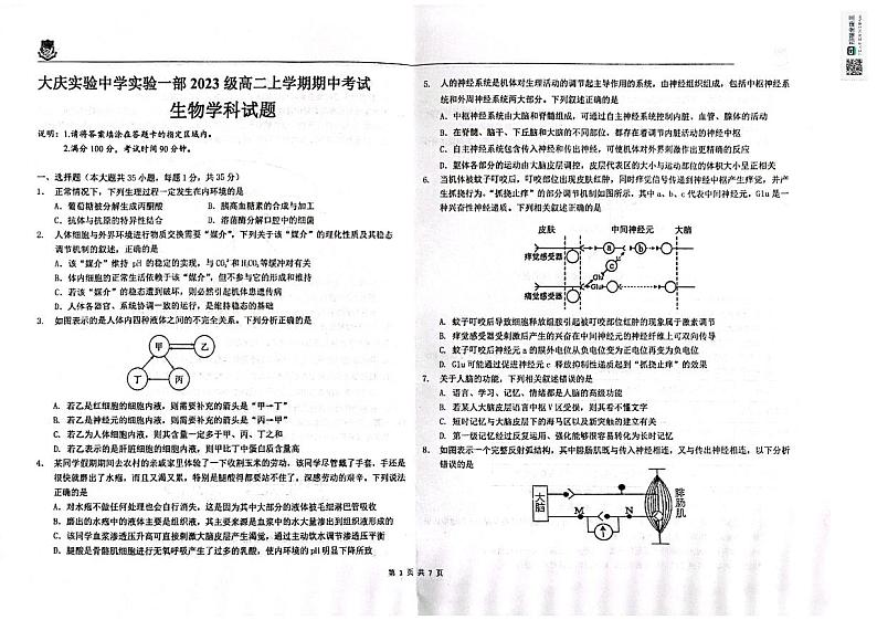 黑龙江省大庆市实验中学实验二部2024-2025学年高二上学期期中考试生物试卷第1页