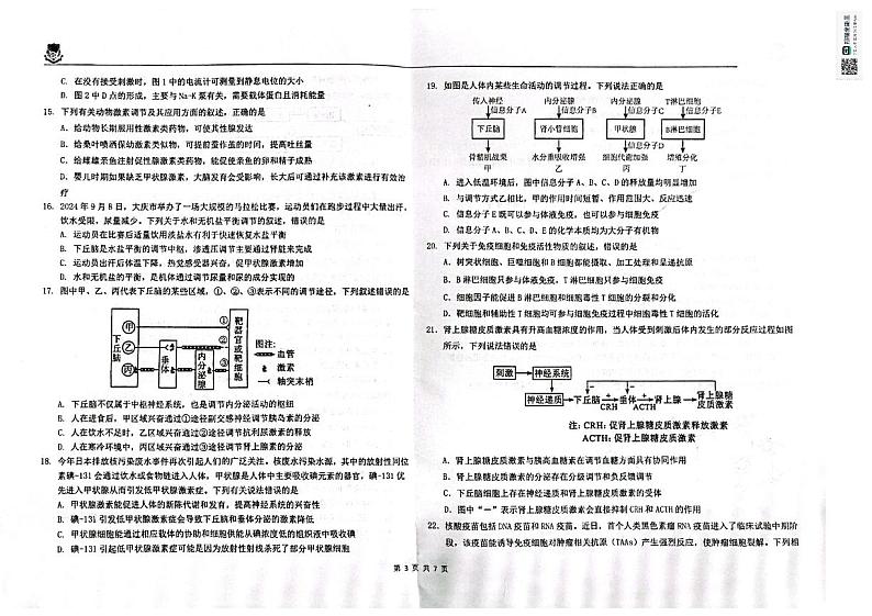 黑龙江省大庆市实验中学实验二部2024-2025学年高二上学期期中考试生物试卷第3页