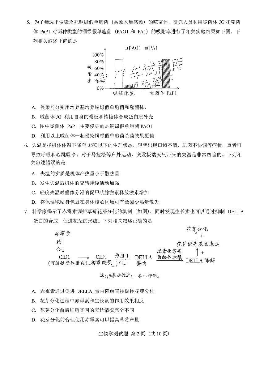 2025屆廣東省韶關高三上學期11月考-生物試題+答案第2頁