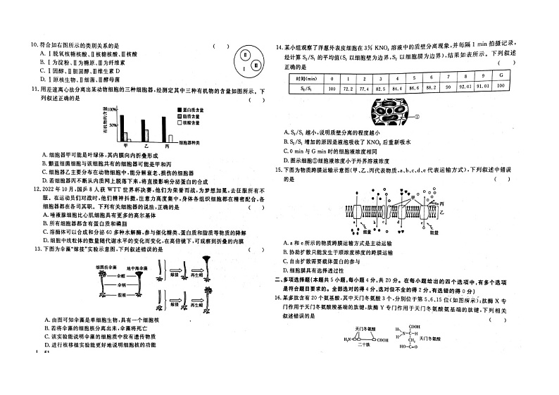 江西省赣州市大余县梅关中学2024-2025学年高一上学期11月期中考试生物试题02