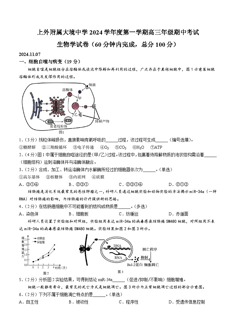 上海黄浦区上海外国语大学附属大境中学2024-2025学年高三上学期期中生物试卷(无答案)第1页