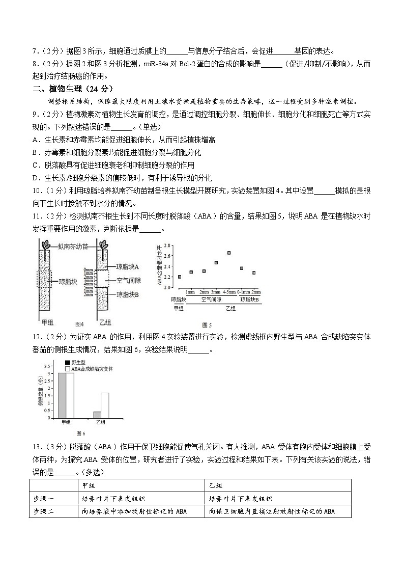 上海黄浦区上海外国语大学附属大境中学2024-2025学年高三上学期期中生物试卷(无答案)第2页