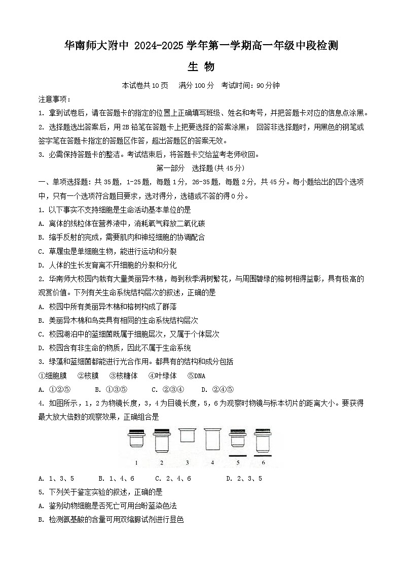 广东省广州市天河区华南师范大学附属中学2024-2025学年高一上学期11月期中生物试题第1页