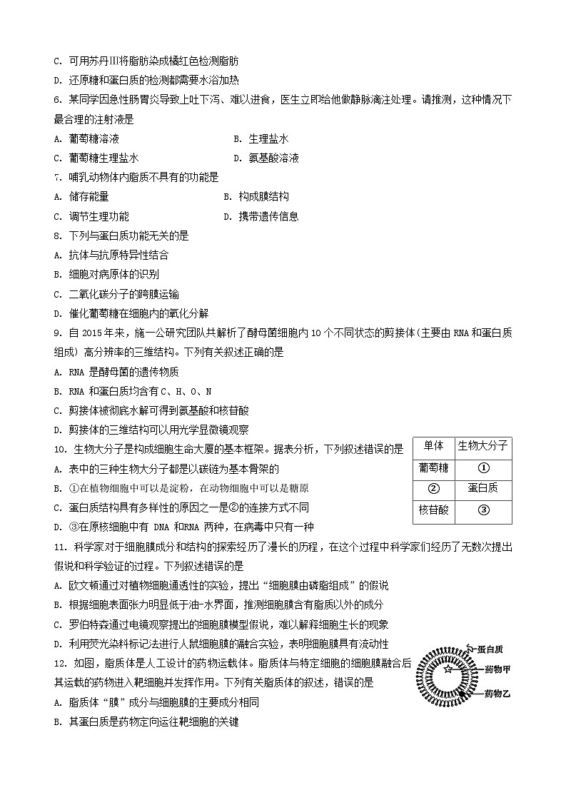 广东省广州市天河区华南师范大学附属中学2024-2025学年高一上学期11月期中生物试题第2页