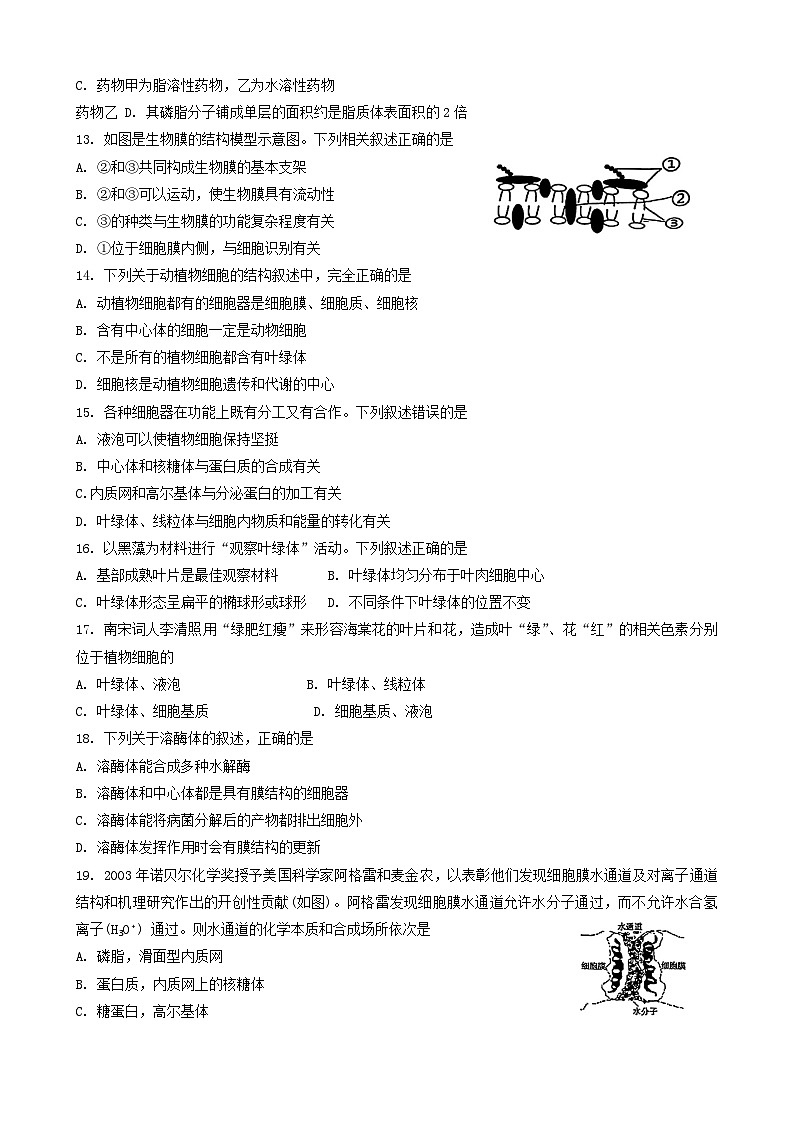 广东省广州市天河区华南师范大学附属中学2024-2025学年高一上学期11月期中生物试题第3页